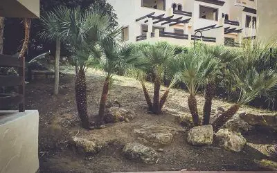 Pinsapo Garden acomete trabajos de limpieza de jardines en la Urbanización, El Campanario del Paraíso.