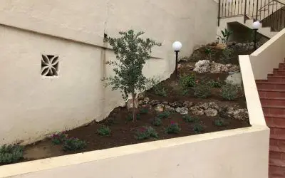 Pinsapo Garden realiza trabajos de paisajismo en la localidad de Mijas.