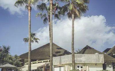 Pinsapo Garden realiza trabajos de poda en el hotel Puente Romano, Marbella.