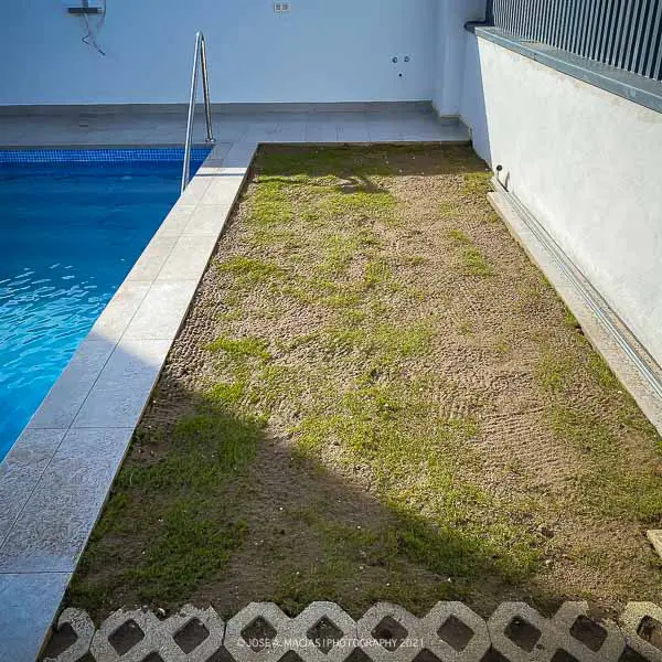 instalacion-cesped-natural-trabajo-jardineria-pinsapo-garden-resultado-despues